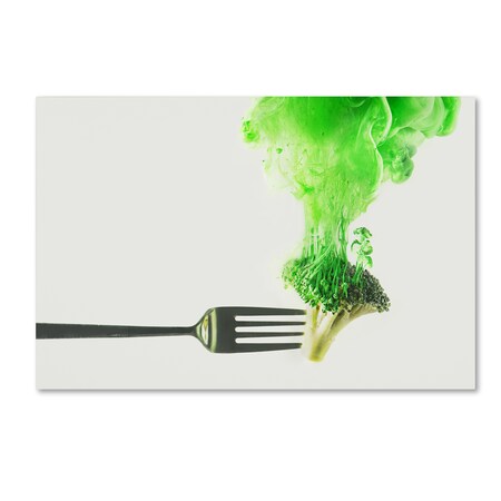 Trademark Fine Art Dina Belenko 'Disintegrated Broccoli' Canvas Art, 16x24 1X00917-C1624GG
